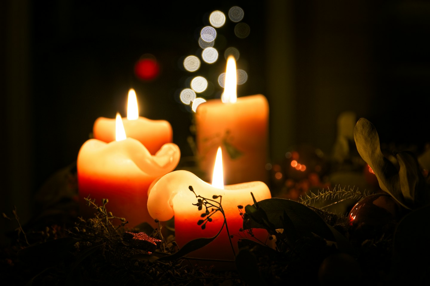 Four lit candles nestled among dark dried foliage.